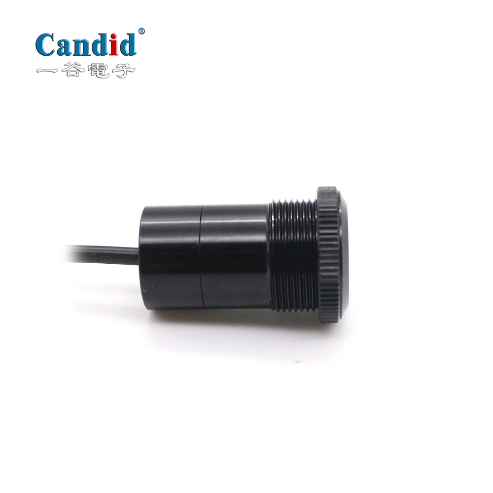 Универсальные и индивидуальные приветственные огни для автомобиля